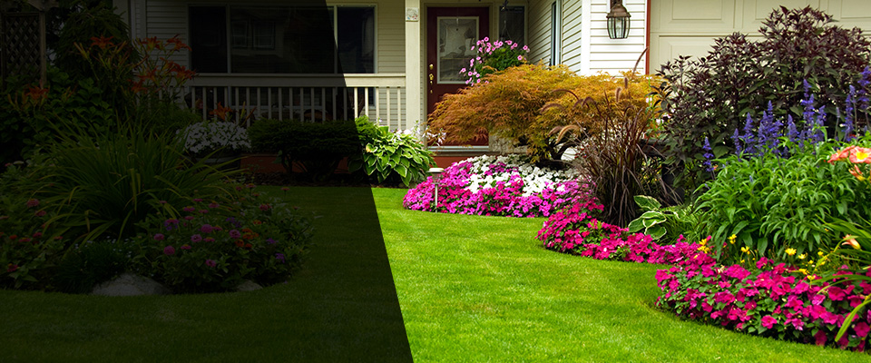 Braidwood Landscapers
