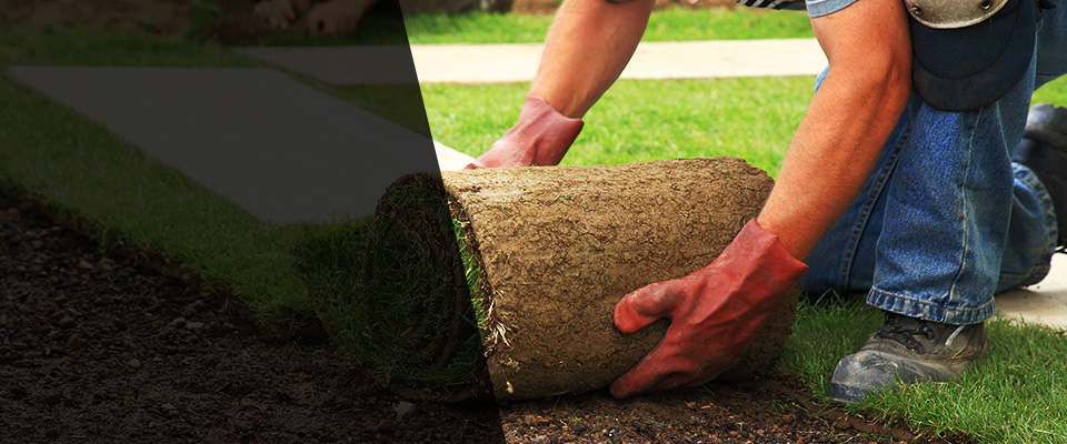 Braidwood Landscapers
